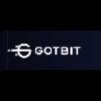 GOTBIT - System Business Analytic
