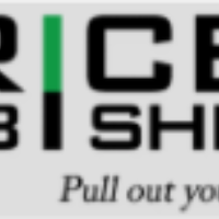 Pricer Bishkek LLC - iOS developer