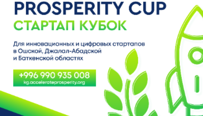 Prosperity Cup, Стартап Кубок