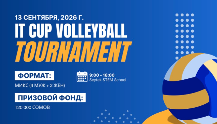 IT CUP Volleyball