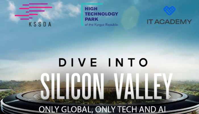 Старт приема заявок на Программу "Dive into Silicon Valley"