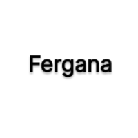 Fergana - QA Engineer