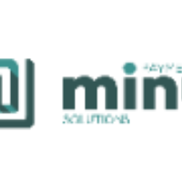 Мину Пэймент Солюшинс - System Analyst