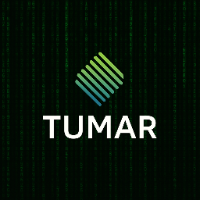 Tumar Service - Fullstack Developer Офис (Python/Vue)