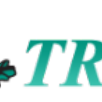 Trei-Бишкек - Middle Программист