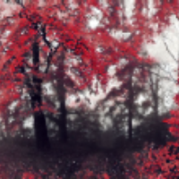 ValArt студио - Художник-Дизайнер (Photoshop,CorelDraw)