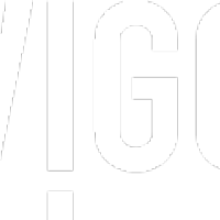 VIGO Industries - Data analyst