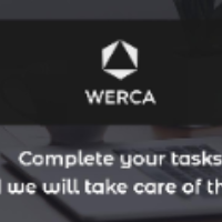 WERCA - Менеджер по продвижению и развитию онлайн проектов
