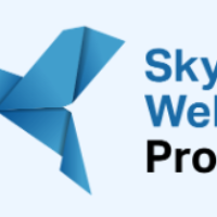 SkyWeb Pro