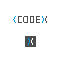 CODEX Solution LLC - React Creat App Test Automation engineer