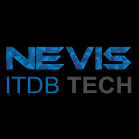 Nevis ITDB Tech - Senior Front-end Developer (Vue/Angular)