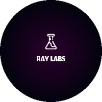 Ray Labs - Machine Learning Engineer
