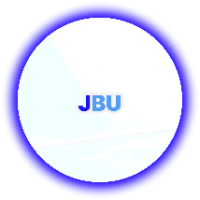 JANYBULAK_IT - UI/UX дизайн