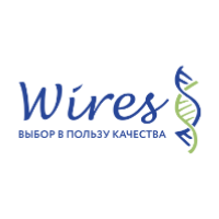 WIRES - Junior / Middle Web Front-end Developer / Designer